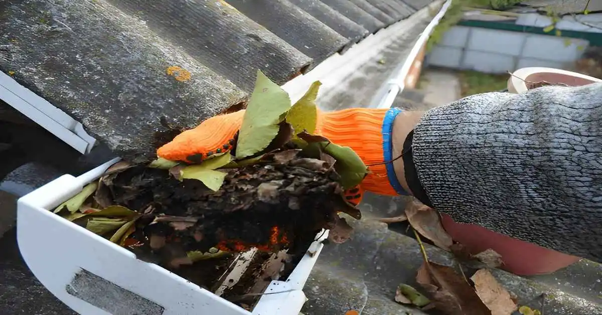 gutter-cleaning-roof
