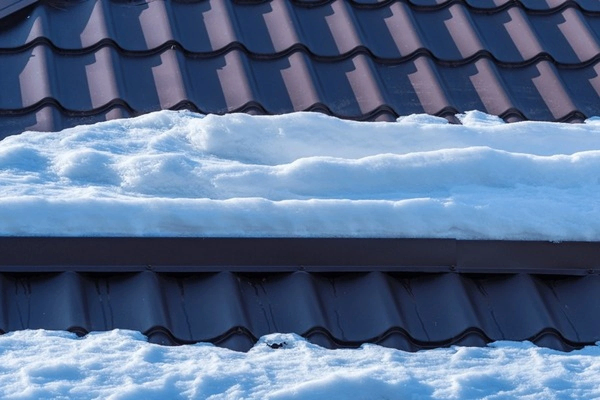 Snow Guards on Metal Roof guide
