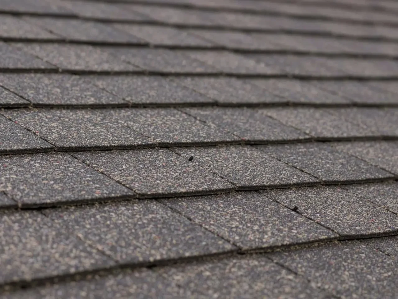 roof features Elk Prestique shingles