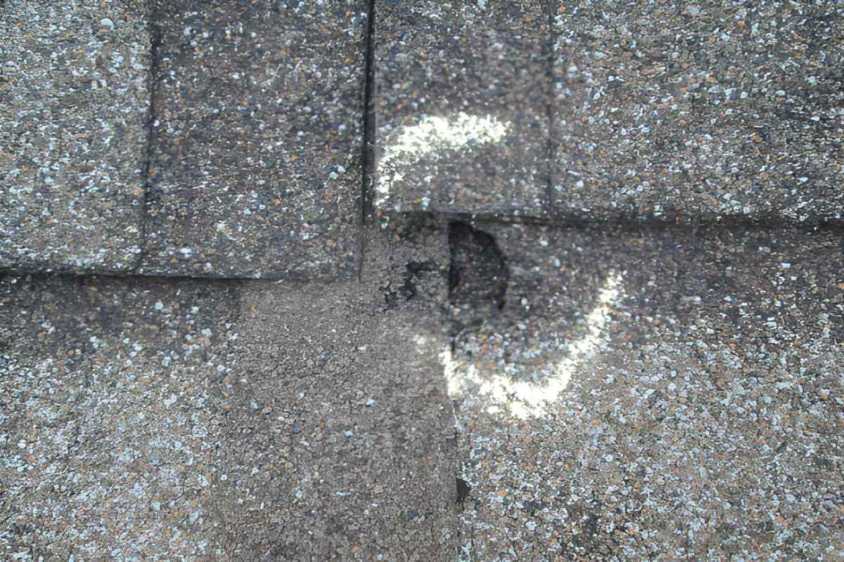 Estimating Hail Damage Roof Cost repairs