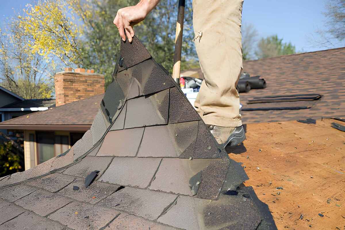 Steps involved in the roof removal process